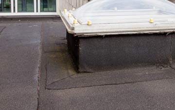 disadvantages of Godmanstone flat roofs