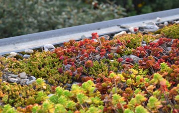 the cost of Godmanstone green roof installation