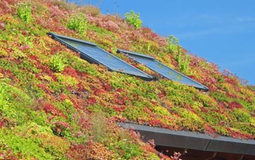 Godmanstone living roof systems