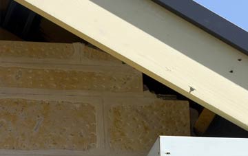 soffit repair Godmanstone